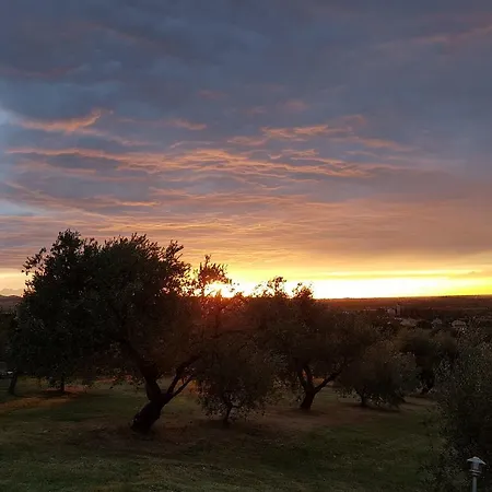 Vinivo Villa Rimini