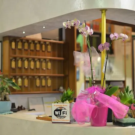 Marselli Hotel 3*