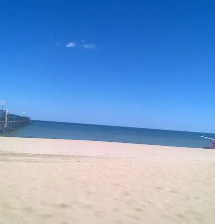 Nova Dhely Rimini