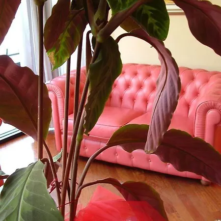Hotel Waldorf 4*