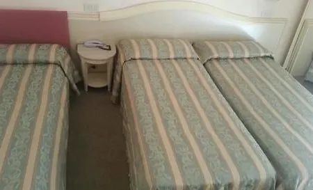 Ariminum Otel 4*