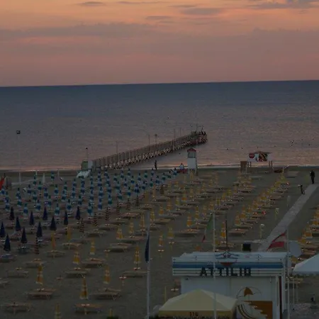Nelson Rimini