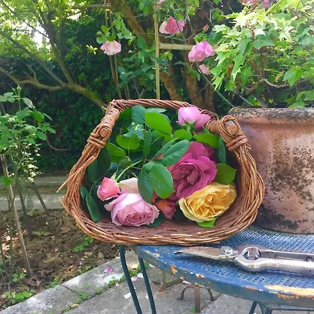 Bed & Breakfast Sottoalfico