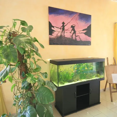 Paradise Aparthotel 3*