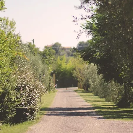Pian Del Pigro Farm stay Rimini