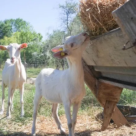 Farm stay Pian Del Pigro *