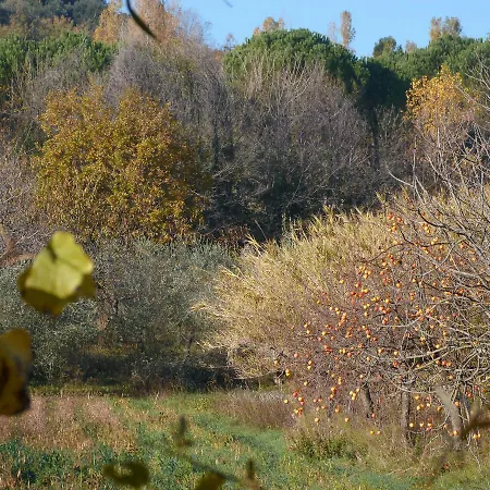 Pian Del Pigro Séjour à la ferme