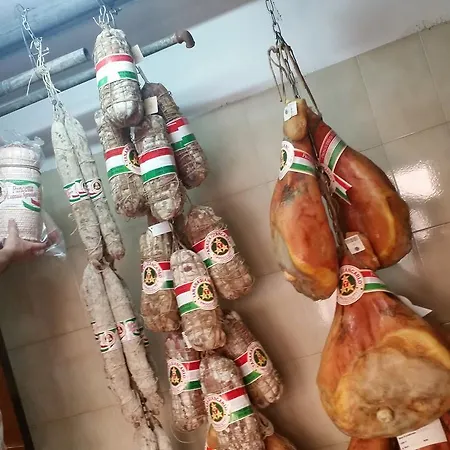 Pecci Rimini