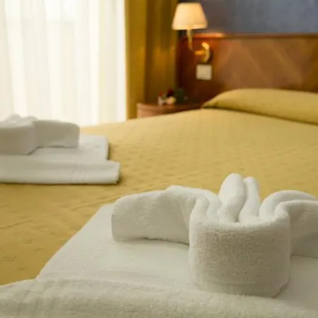 Hotel Remin Plaza