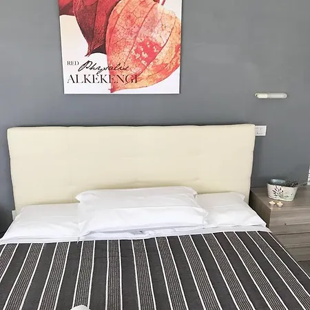 Venus Hotel 3*