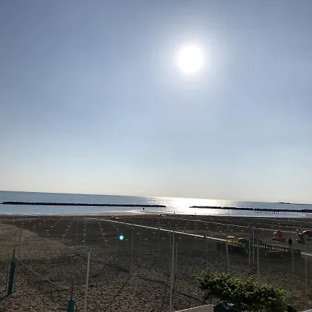 Gin Rimini