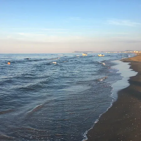 Rebola Rimini