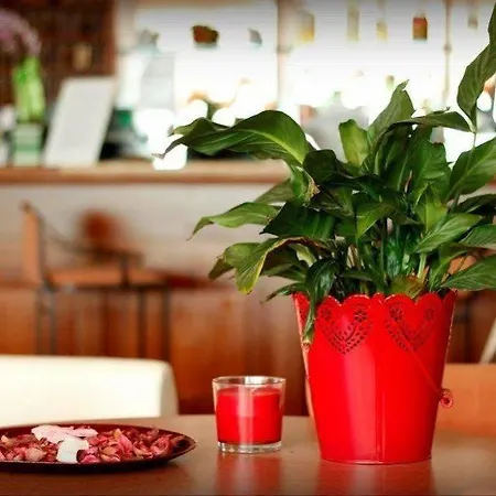 Hotel Jasmine