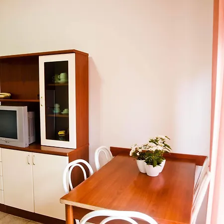 Auriga 3* Rimini