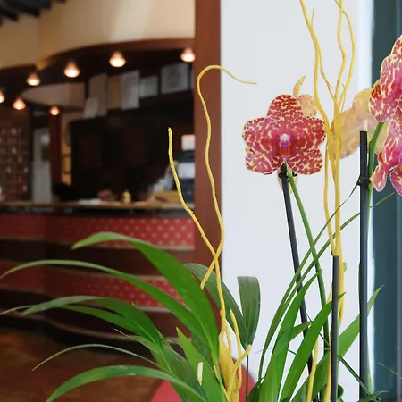 Dei Platani Hotel 3*