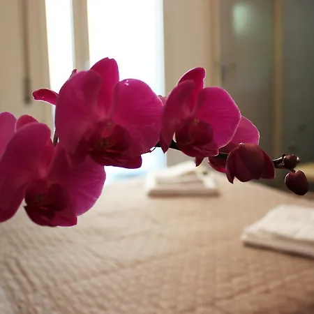 Leda Hotel