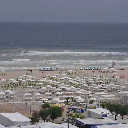 Grifone Rimini