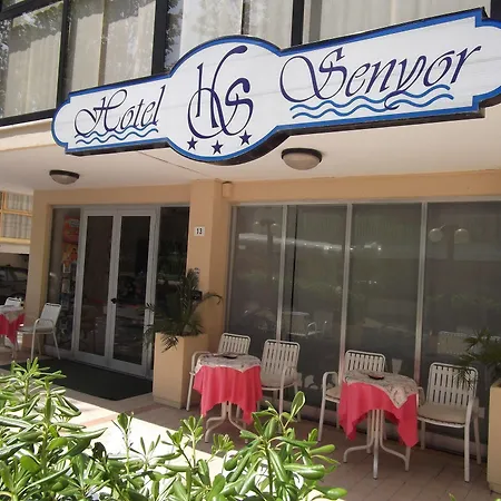 Senyor Hotel 3*