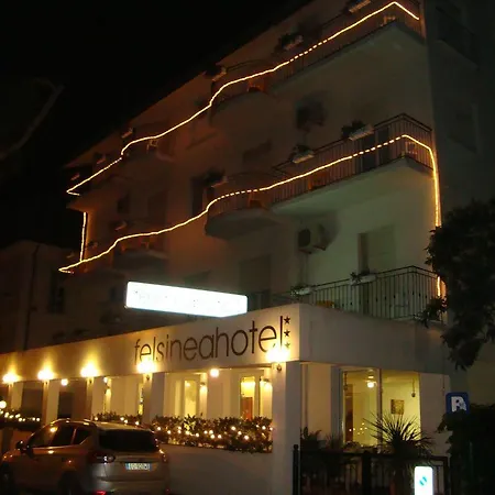 Felsinea Hotel 3*