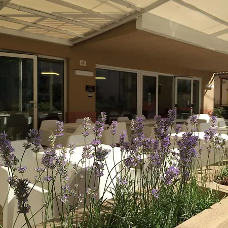 Little Hotel Rimini