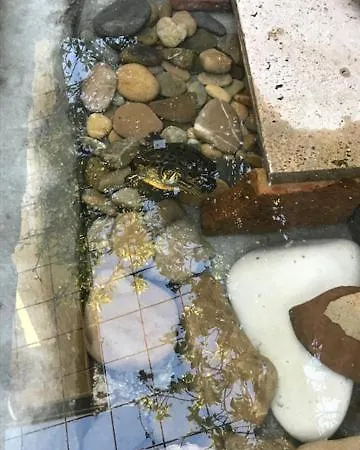 Nocleg ze śniadaniem Grazia Rimini