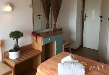Alpen Hotel 3*
