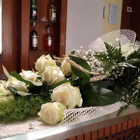 Oletta 2*