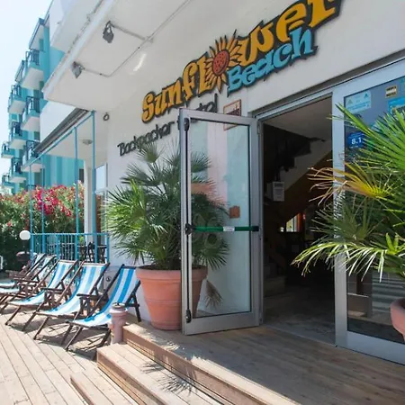 Sunflower Backpacker & Bar Vandrarhem Rimini