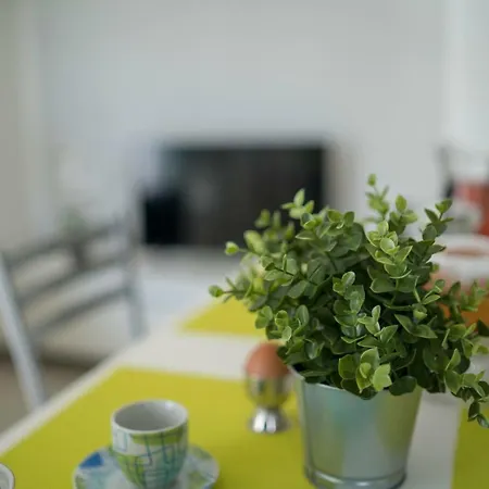 Green Rimini