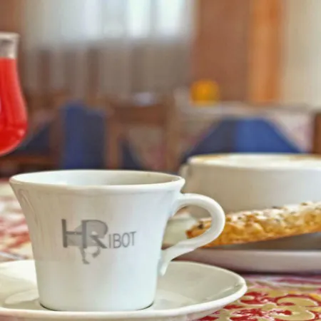 Hotel Ribot