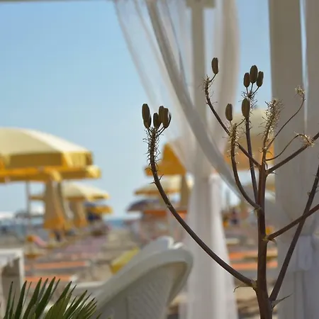 Goya Hotel 3*