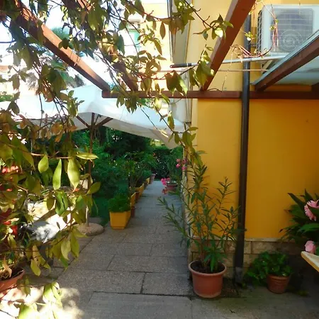 Dolores Hotel