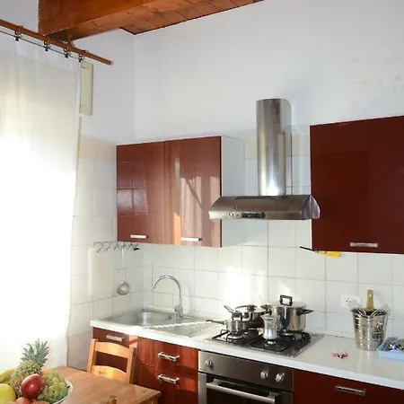 Edera Rimini