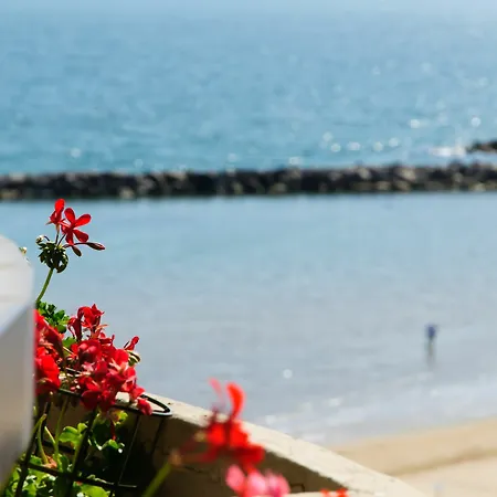 Apart Otel Belvedere Vista - Seafront Rimini