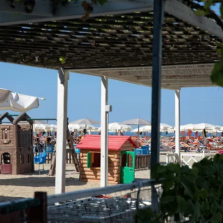 Gin Rimini