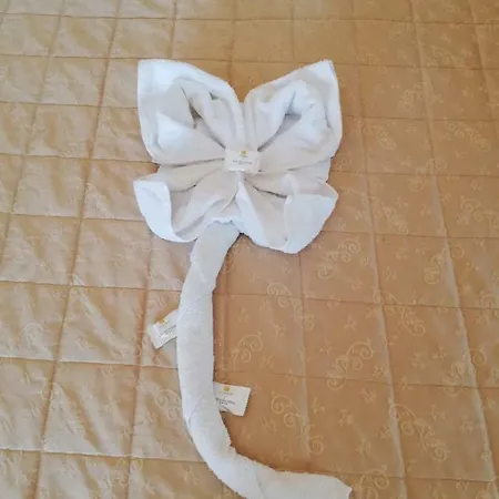 Maria Grazia 3* Rímini