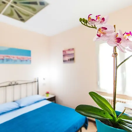 Kimba Apart-hotel 2*