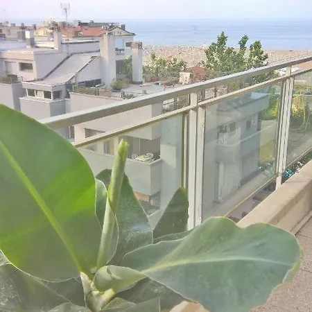 Attico 50 Metri Dal Mare A