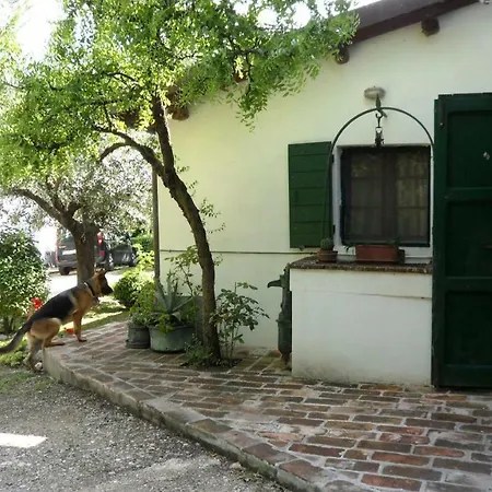 In Shanti Country house Rimini