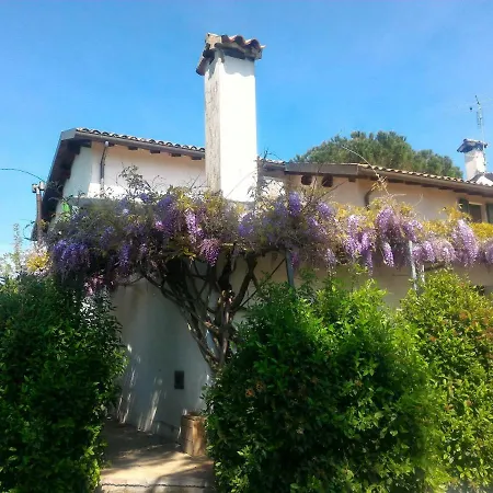 Country house In Shanti Rimini