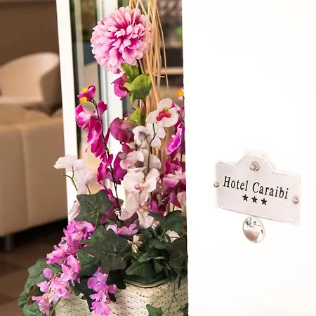 Hotel Caraibi 3*