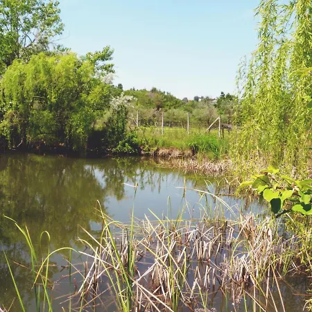 Séjour à la ferme Pian Del Pigro *