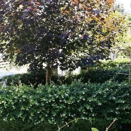Aparthotel Margherita 3*