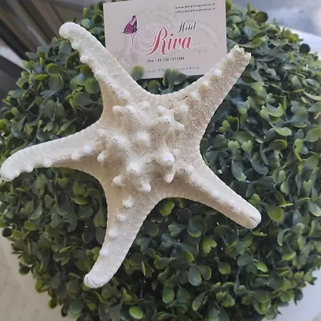 Hotel Riva 2*