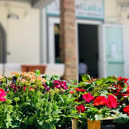 Hotel Laika Rimini