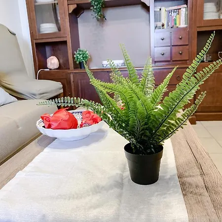 Apartament Dario Campana 74 - Affitti Brevi Italia Rimini