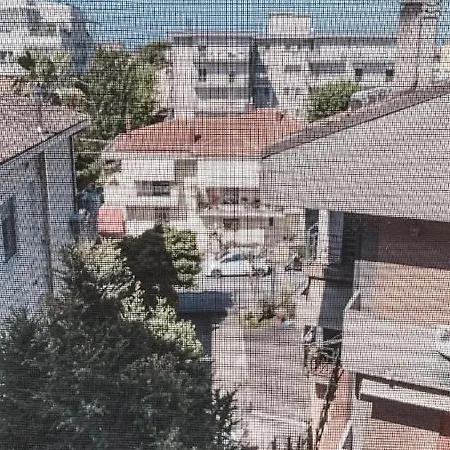 Apartament Dario Campana 74 - Affitti Brevi Italia
