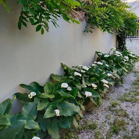 Hotel Goldene Rose 2*