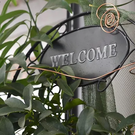 Hotel Alfredo's Rimini