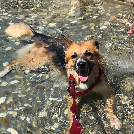 Frida Πανσιόν *